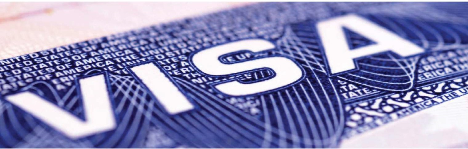Visa processing large